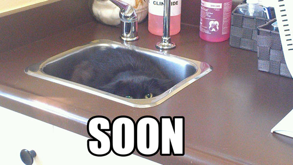 A black cat in a sink with a text ”SOON“ under it